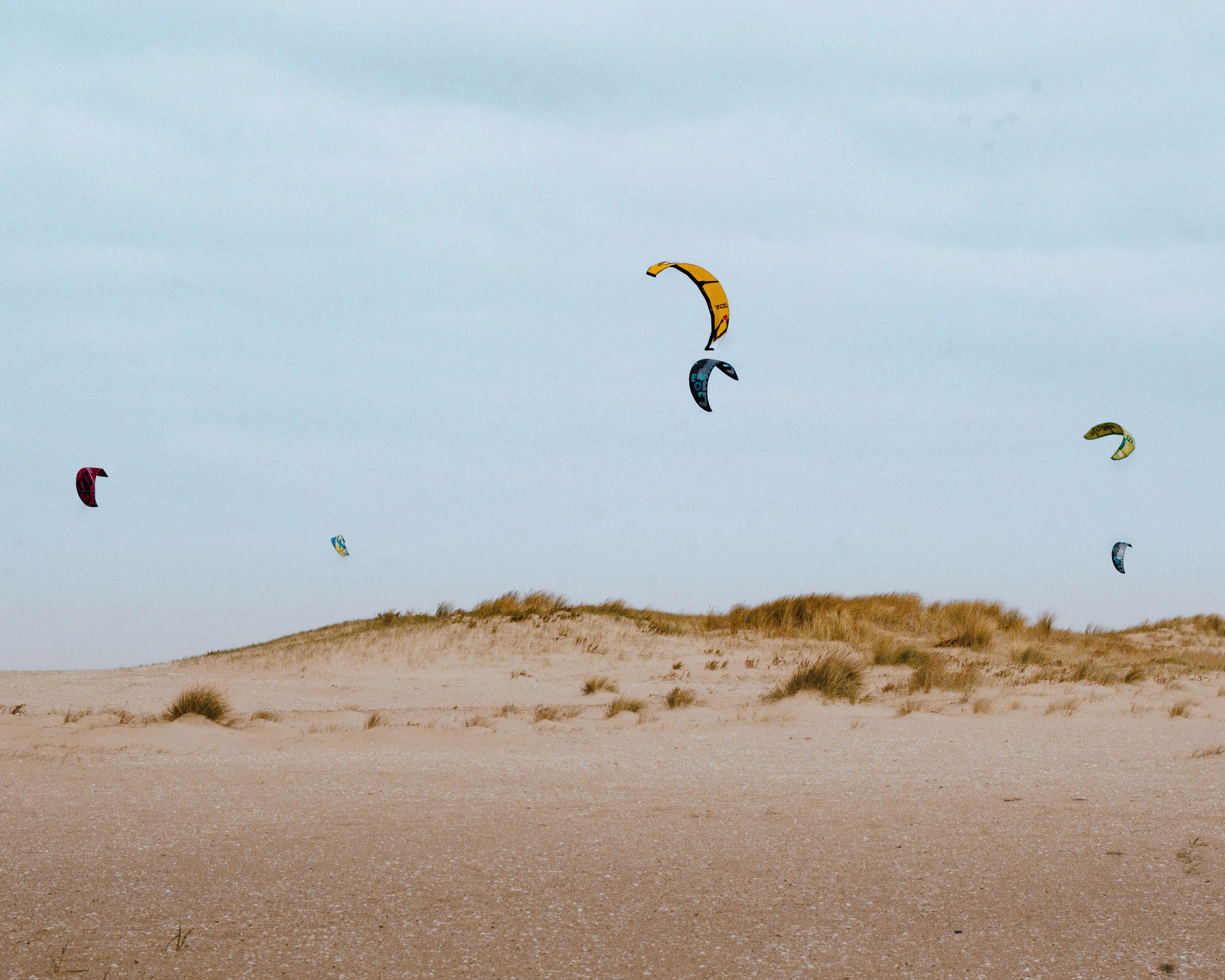 Kite sur merville