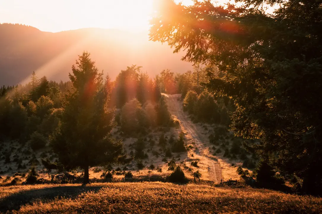 Golden hour sur les hauteurs d'alsace