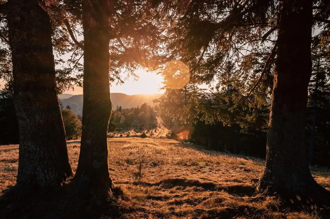 Golden hour sur les hauteurs d'alsace