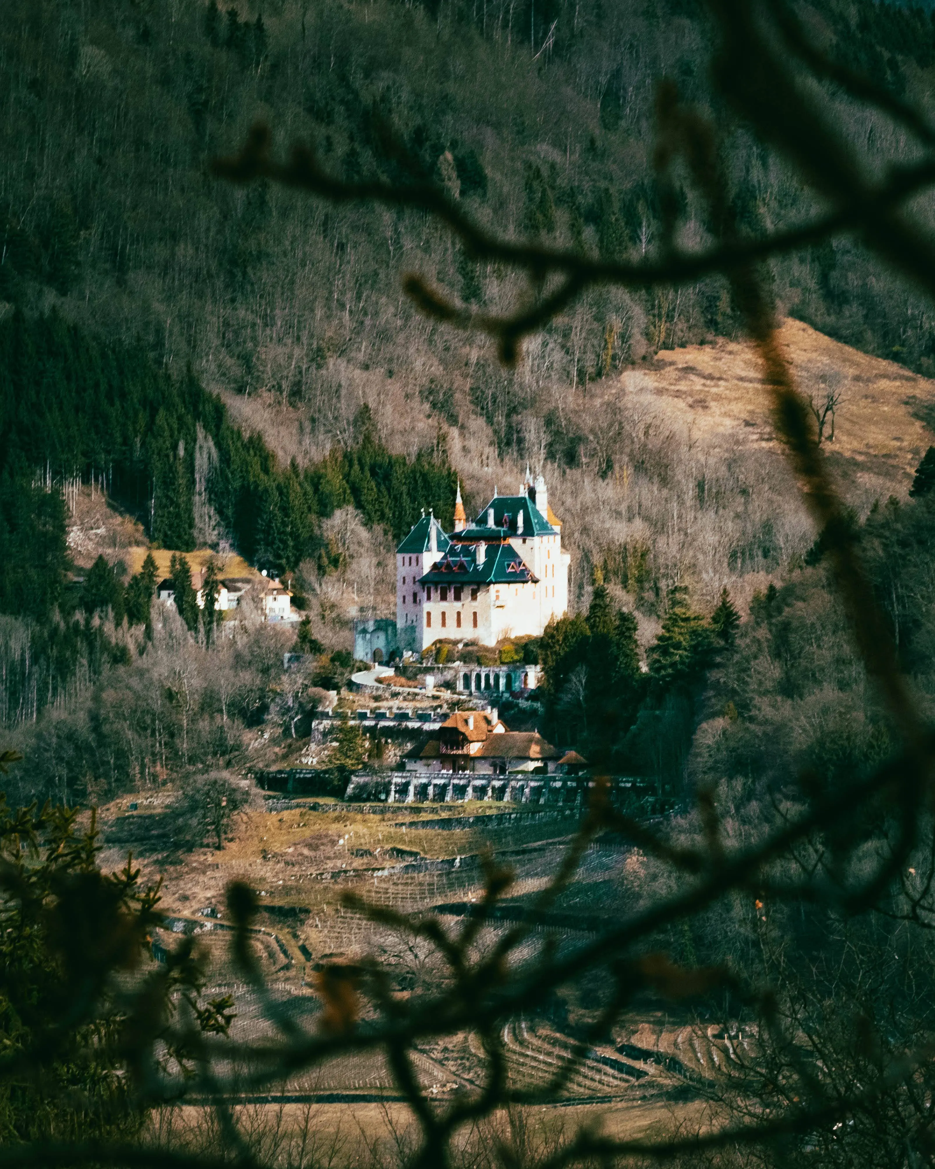 Golden hour sur les hauteurs d'alsace