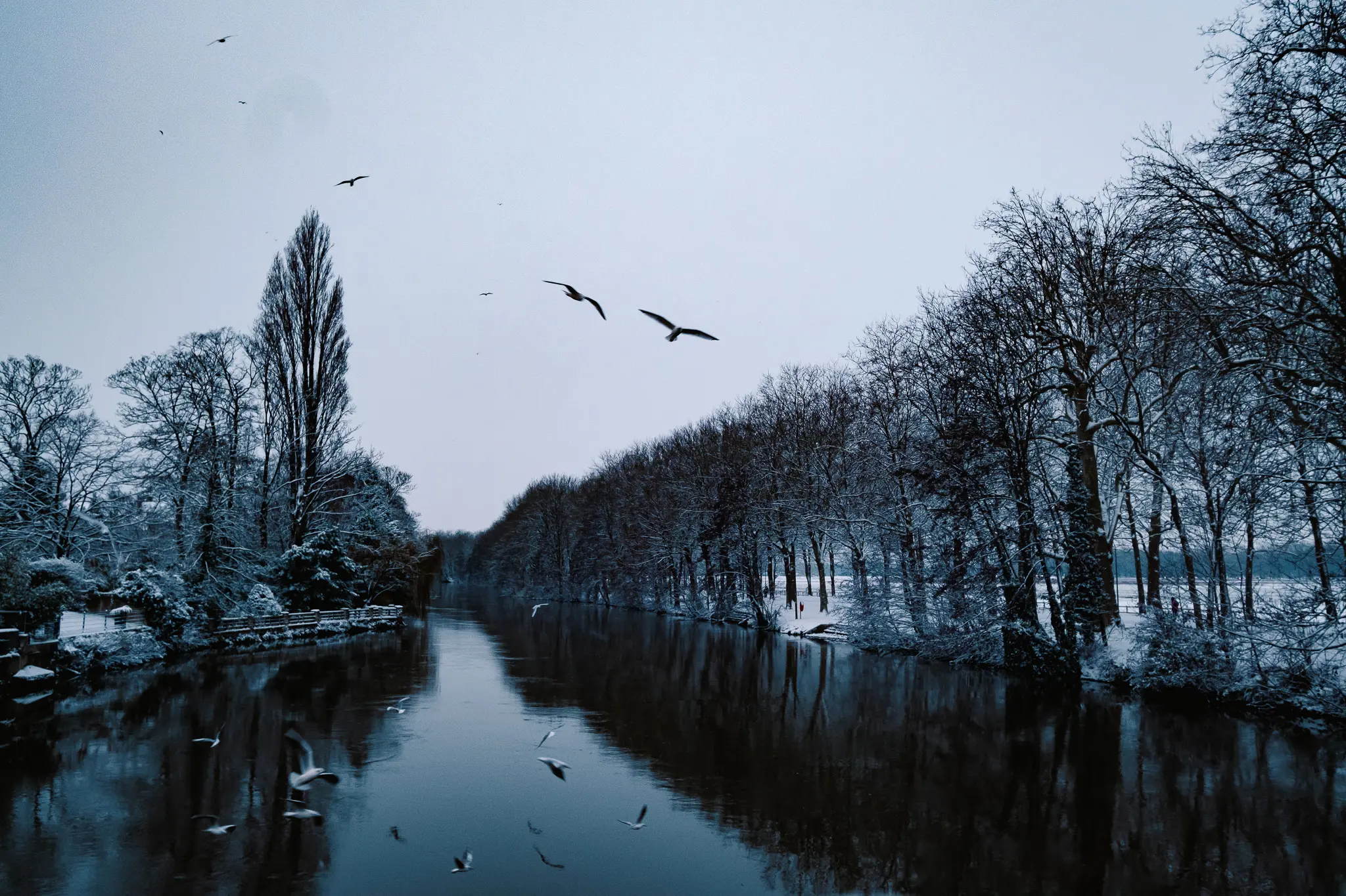 Paysage enneigé caennais