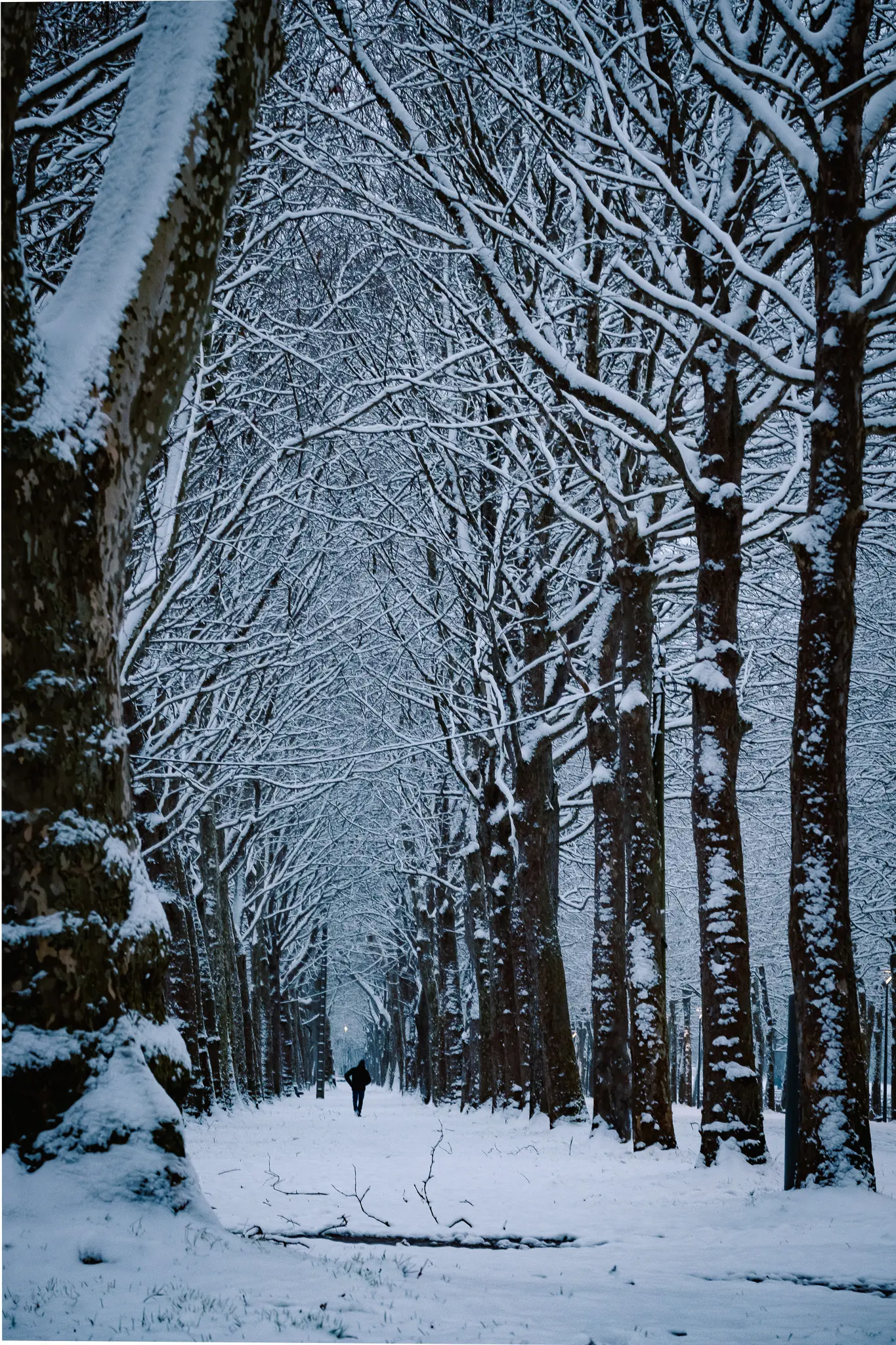 Paysage enneigé caennais